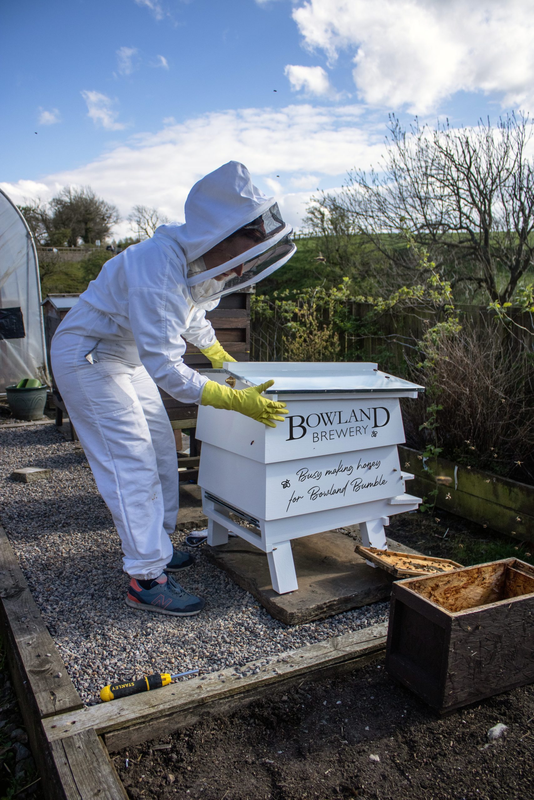 Bowland Brewery Bees